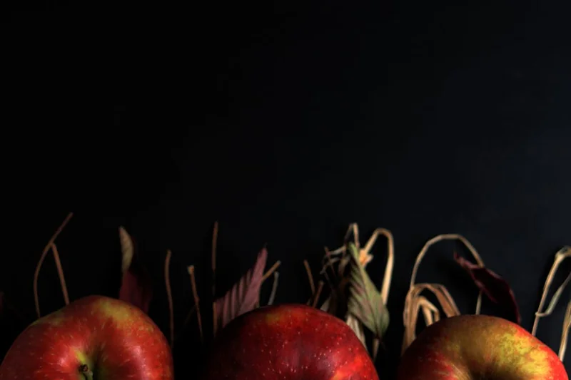 사과초모식초 효능