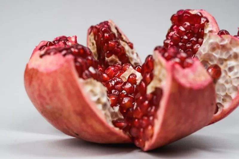 석류 효능