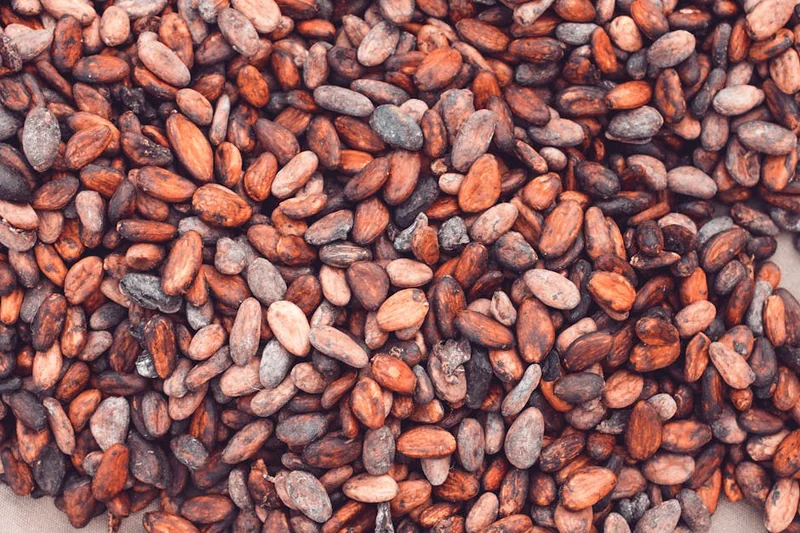 초코카카오닙스 효능