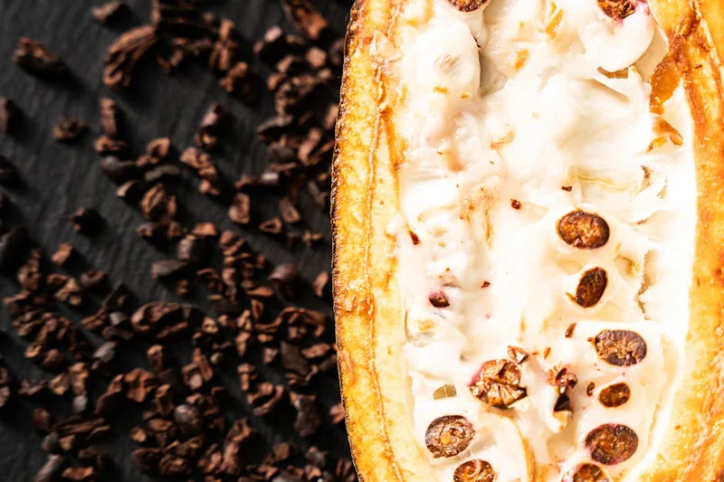 초코카카오닙스 효능