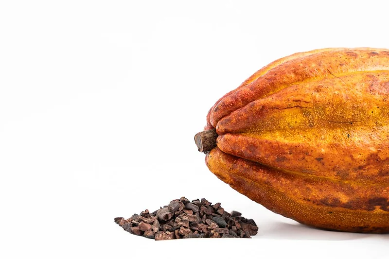 초코카카오닙스 효능