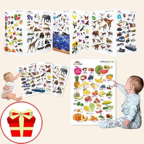 세이펜호환 레인보우빅병풍 아기병풍 유아 양면포스터 신생아 아기벽보 한글 병풍책